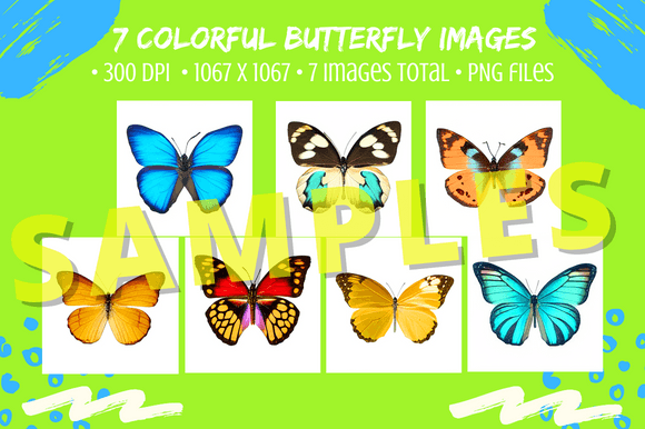 Download 7 Pretty Butterflies Color Image Bundle - Color image Collection