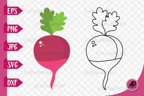 Download Beetroot Outline with Color Image - Color image Collection