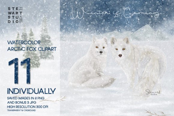 Download Watercolor Arctic Fox Clipart - Fox Collection